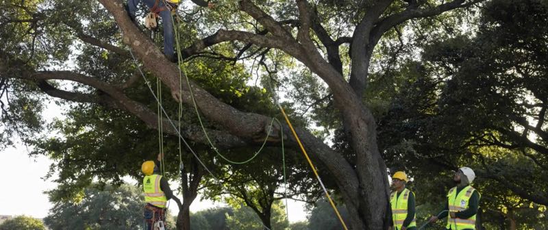 {SERVICE_NAME} project in Keller